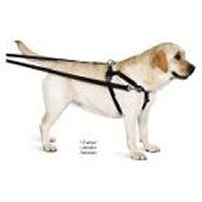 Freedom No-Pull Harness Training Package